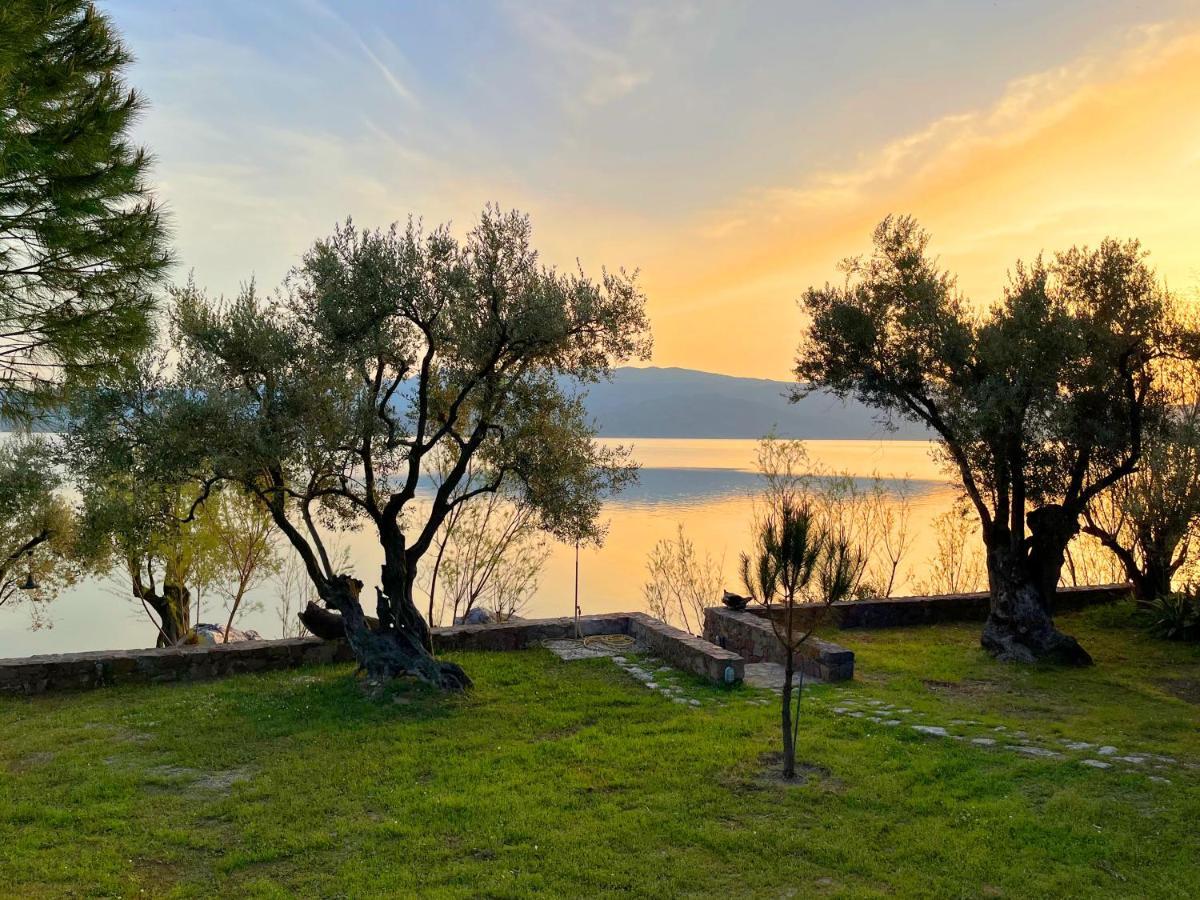 Villa Seafront Traditional Stone House In Sunset Olive Grove - B Alyfanta Exterior foto